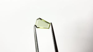 0.44ct 6.78x4.99x1.10mm Coffin Portrait Cut Sapphire 22411-01