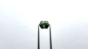 2.54ct 9.52x7.10x5.06mm Hexagon Brilliant Sapphire 22762-02
