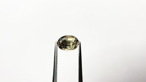 1.70ct 7.59x5.58x4.79mm Oval Brilliant Sapphire 21566-01