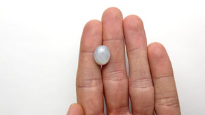14.93ct 14.37x11.94x8.58mm Oval Cabochon Cut Star Sapphire 22502-01