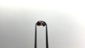 0.73ct 5.96x4.00x3.90mm Oval Brilliant Sapphire 20046-01