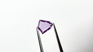 0.96ct 8.27x7.78x1.73mm Shield Portrait Cut Sapphire 22888-01