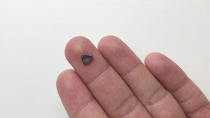 0.74ct 5.78x7.05x2.39mm Geo Trillion Rosecut 18167-30