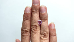 1.09ct 7.93x6.40x2.60mm Shield Step Cut Sapphire 22203-01