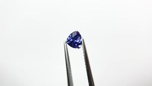 0.74ct 5.36x4.96x3.93mm Trillion Brilliant Sapphire 22319-01