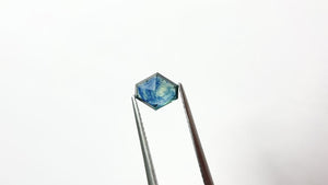 1.44ct 7.69x6.76x2.98mm Hexagon Rosecut Sapphire 22434-13