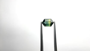 1.34ct 8.55x5.31x3.28mm Hexagon Step Cut Sapphire 22301-01