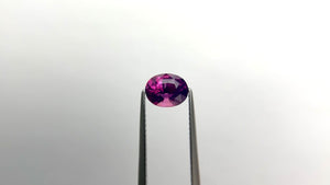 1.67ct 7.30x5.96x4.72mm Oval Brilliant Sapphire 22049-01