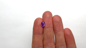1.56ct 8.23x5.75x3.84mm Oval Brilliant Sapphire 21663-01