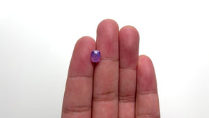 2.15ct 7.56x5.90x4.93mm Cushion Brilliant Sapphire 21979-01