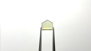 1.46ct 7.85x7.40x1.76mm Shield Portrait Cut Sapphire 22434-82