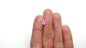 1.59ct 7.93x5.68x3.63mm Oval Brilliant Sapphire 22958-01