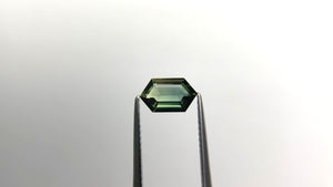 1.06ct 8.61x5.08x2.61mm Hexagon Step Cut Sapphire 22272-21
