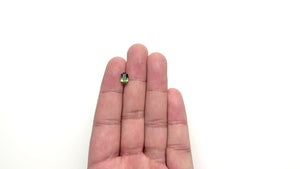 1.70ct 7.92x5.62x3.96mm Cushion Brilliant Sapphire 22299-06