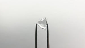 1.01ct 7.08x8.57x2.31mm VS2 E Trillion Rosecut 🇨🇦 21169-01