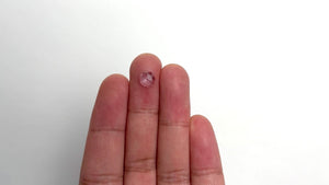 0.96ct 7.03x7.01x2.58mm Geo Round Rosecut Sapphire 20825-01