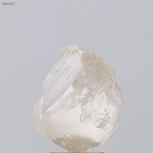 3.79t Rough Diamond 144-96-9 🇱🇸