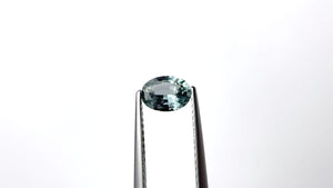 0.84ct 6.85x5.01x2.99mm Oval Brilliant Sapphire 22696-05