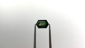 1.34ct 7.32x4.72x3.87mm Hexagon Step Cut Sapphire 22272-34