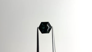 1.54ct 8.03x6.67x4.12mm Hexagon Step Cut Sapphire 22314-04