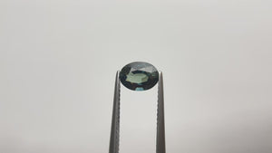 1.50ct 7.98x5.89x3.84mm Oval Brilliant Sapphire 20995-01 🇦🇺