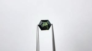 2.77ct 9.86x7.96x4.28mm Hexgon Step Cut Sapphire 22765-02