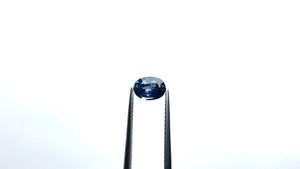 0.97ct 6.98x5.17x3.38mm Oval Brilliant Sapphire 19939-71