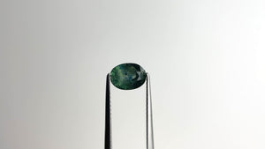 1.15ct 7.47x5.57x3.35mm Oval Brilliant Sapphire 19938-18
