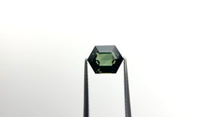 2.54ct 9.25x7.22x4.34mm Hexagon Step Cut Sapphire 22312-10