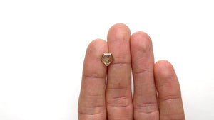 1.77ct 9.71x8.57x2.54mm Shield Double Cut Sapphire 22434-97