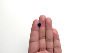1.68ct 7.24x6.69x4.07mm Cushion Brilliant Sapphire 22147-01