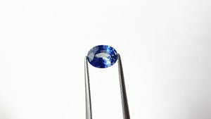 1.35ct 7.84x6.03x3.66mm Oval Brilliant Sapphire 22169-01