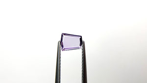 0.54ct 6.54x5.29x1.24mm Shield Portrait Sapphire 22409-01