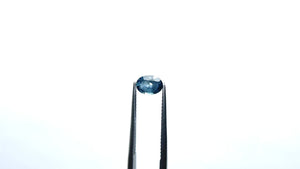 0.97ct 7.00x5.07x3.34mm Oval Brilliant Sapphire 19939-58