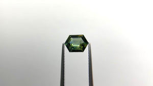 1.21ct 7.92x5.89x3.18mm Hexagon Step Cut Sapphire 22272-16  🇦🇺