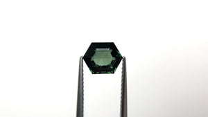 1.99ct 8.51x6.77x4.00mm Hexagon Step Cut Sapphire 22312-11
