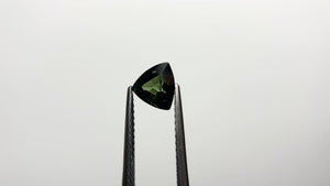 0.98ct 6.07x6.45x3.58mm Trillion Brilliant Cut Sapphire 20994-17