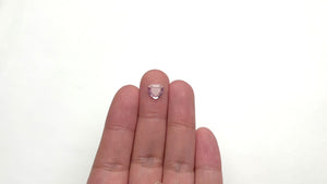 0.97ct 7.86x7.54x1.51mm Shield Portrait Cut Sapphire 22897-01