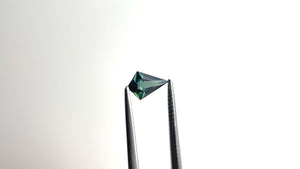 0.95ct 9.57x5.67x3.61mm Kite Step Cut Sapphire 22267-01 🇦🇺