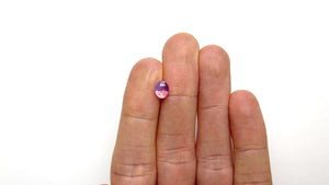 1.53ct 7.44x5.71x4.36mm Oval Brilliant Sapphire 22540-01