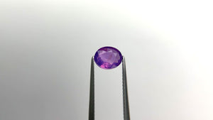 1.62ct 7.68x6.27x3.60mm Oval Brilliant Sapphire 21646-01