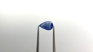 1.20ct 8.83x5.73x2.82mm Pear Brilliant Sapphire 21640-01