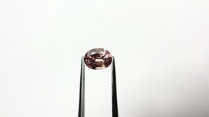 1.14ct 7.25x5.68x3.43mm Oval Brilliant Sapphire 21563-01