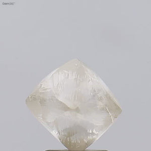 3.03ct Rough Diamond 144-96-6 🇱🇸