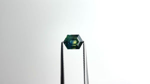 1.31ct 7.09x5.15x3.90mm Hexagon Step Cut Sapphire 22272-06 🇦🇺