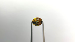 1.62ct 7.59x6.39x4.21mm Oval Brilliant Sapphire 22042-01