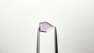 0.50ct 7.95x5.52x1.10mm Shield Portrait Cut Sapphire 20752-01