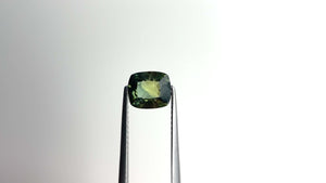 1.53ct 7.10x6.15x3.80mm Cushion Brilliant Sapphire 22271-02